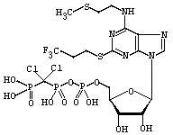 163706-06-7