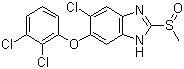 100648-13-3