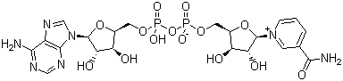 53-84-9